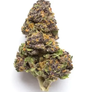 Agent Orange Hybrid Marijuana Melbourne