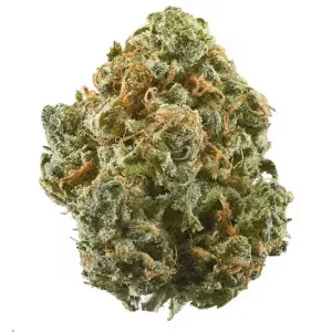 Alaskan Thunder Fuck Marijuana Vic