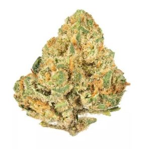 Alien OG Hybrid Marijuana Strain For Sale NSW