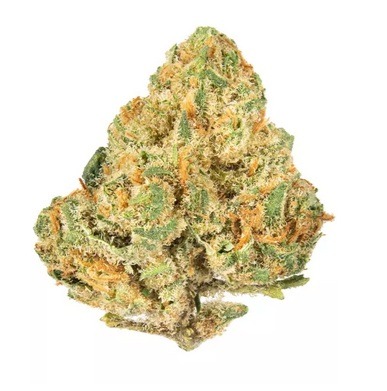 Alien OG Hybrid Marijuana Strain For Sale NSW