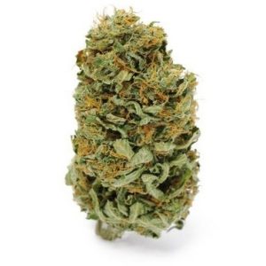 Amnesia Haze Marijuana Flower Strain Tas