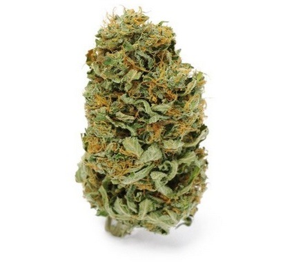 Amnesia Haze Marijuana Flower Strain Tas