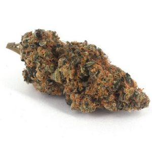 Animal Cookies Hybrid Buds NSW