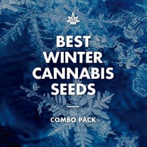 The Best Winter Combo Pack