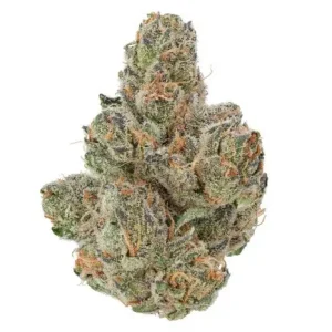 Blackberry Kush Marijuana Strain Qld-NSW
