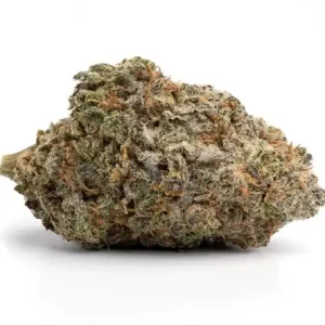 Blue Cheese Indica Weed Strain WA