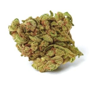 Blueberry Indica Weed Strain Sydney
