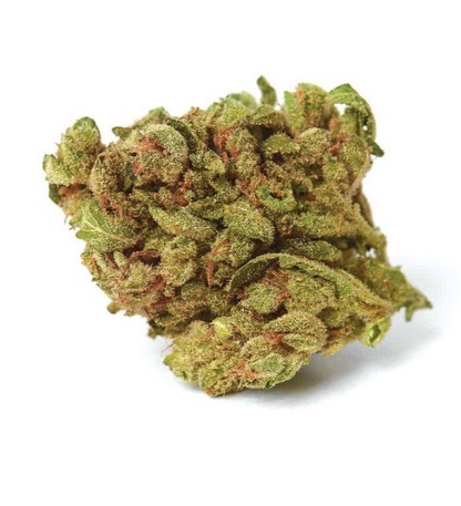 Blueberry Indica Weed Strain Sydney