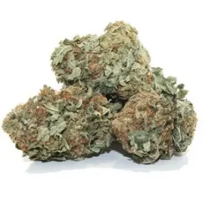 Buy ACDC Marijuana Strain Online QLD