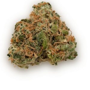Buy AK-47 Hybrid Marijuana Strain NSW