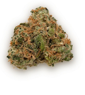 Buy AK-47 Hybrid Marijuana Strain NSW