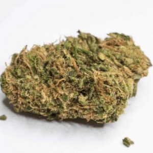 Buy Golden Goat Hybrid Flower Qld