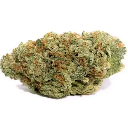 Buy Grape Ape Marijuana Strain Brisbane