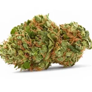 Buy Strawberry Cough Marijuana Strain SA