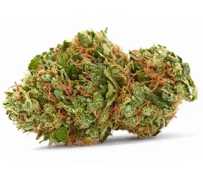 Buy Strawberry Cough Marijuana Strain SA