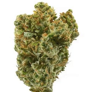 Buy Super Silver Haze Weed Strain WA
