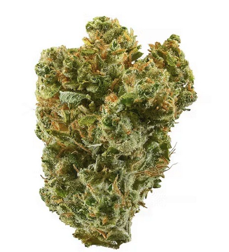Buy Super Silver Haze Weed Strain WA
