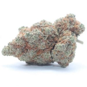 Candyland Sativa Marijuana Strain AU