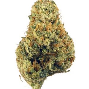 Dutch Treat Hybrid Marijuana Adelaide