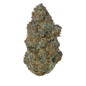 GMO Cookies Cannabis Flower Online