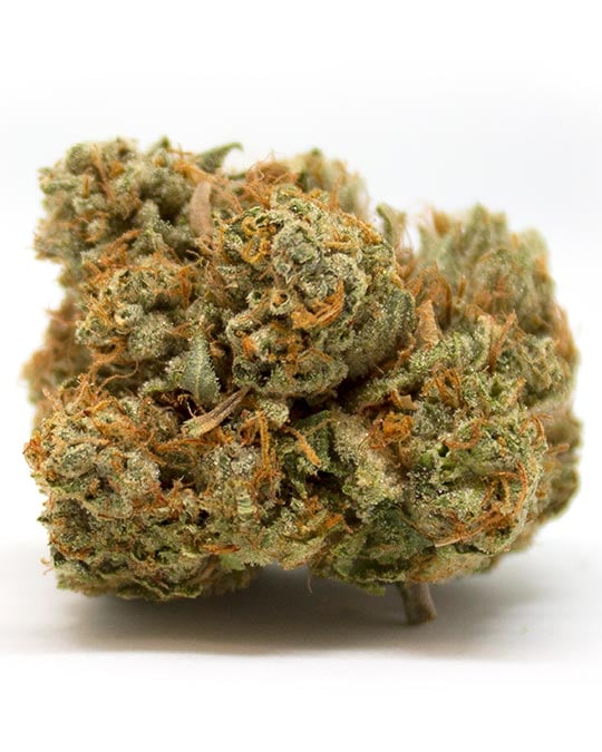 Tropicana Cherry Auto - Image 5