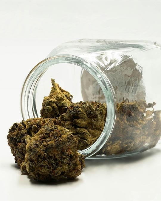 Chem Cookies - Image 5