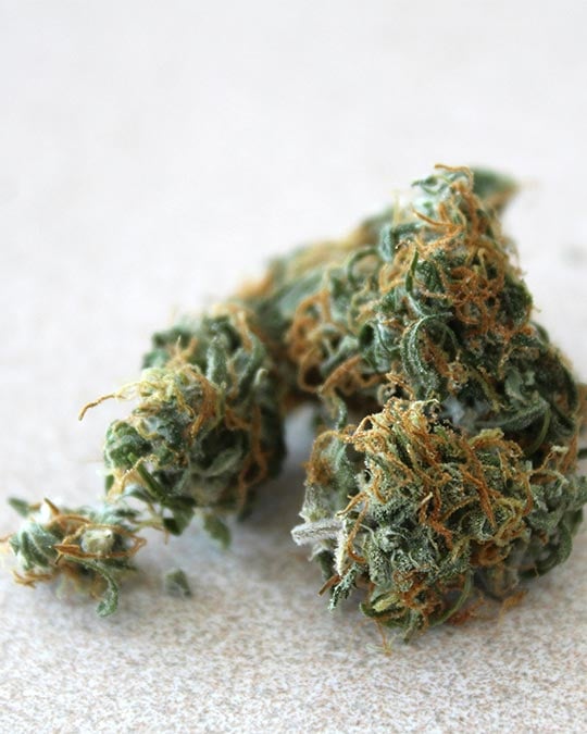 Don Carlos - Image 5