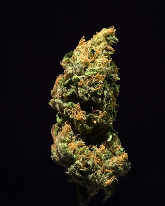 Grape Balls of Fire - Image 5