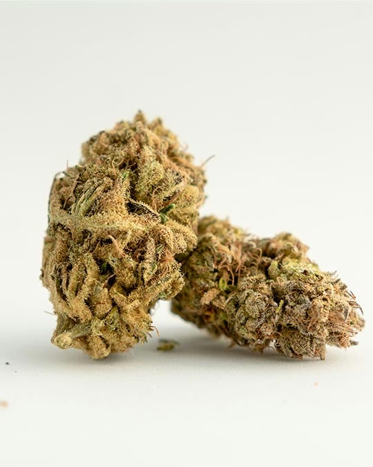 Lilac Diesel - Image 5