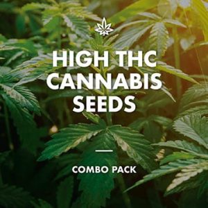 High THC Combo Pack