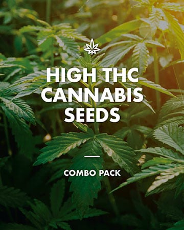 High THC Combo Pack