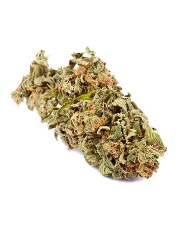 Albino Kush - Image 5