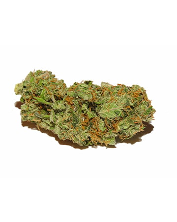 Alien OG - Image 5