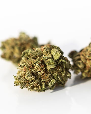 Bubba OG - Image 5