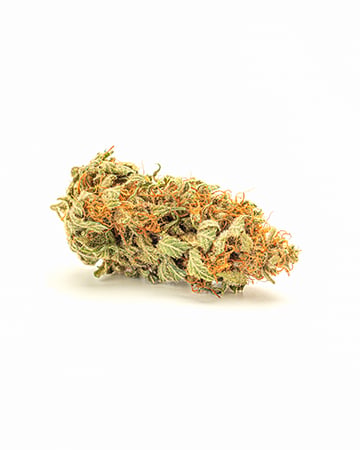 Chocolate Chunk - Image 5