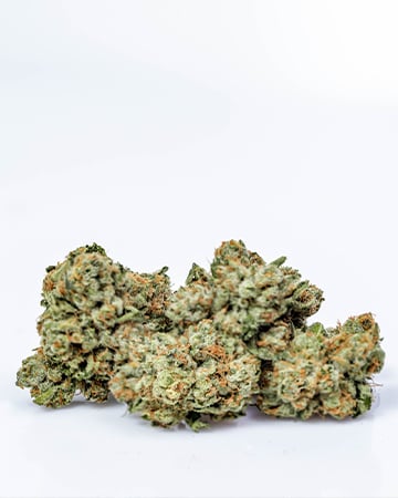 White Buffalo Auto - Image 5