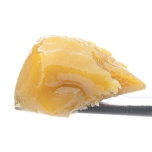 Purple Cream Live Resin Badder Vic