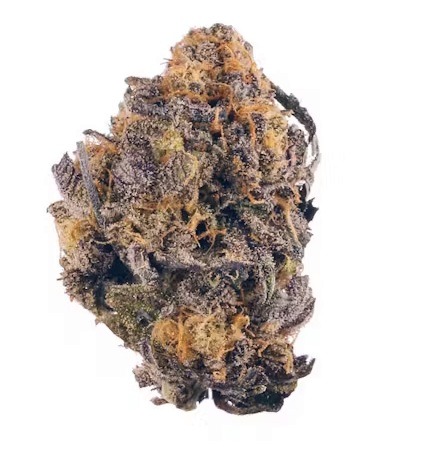 Shop Purple Kush Cannabis Strain VIC