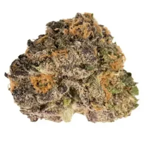 Purple Urkle Cannabis Strain Adelaide