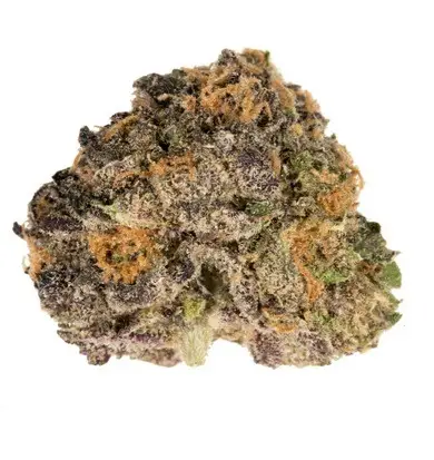 Purple Urkle Cannabis Strain Adelaide