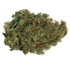 Shop Chemdawg Hybrid Strain Adelaide