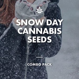 Snow Day Combo Pack