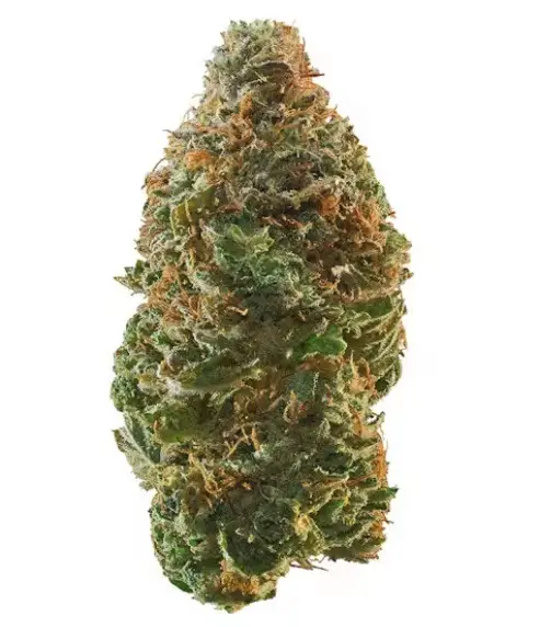 Trainwreck Hybrid Marijuana For Sale QLD
