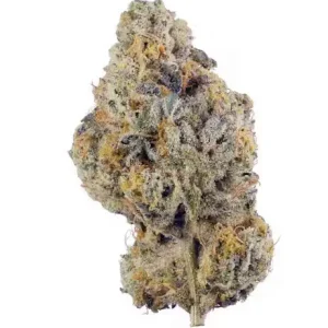 Wedding Cake Hybrid Strain For Sale Qld