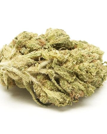 White Berry - Image 5