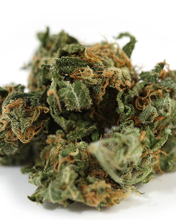Goji OG - Image 5