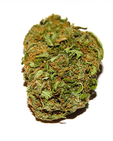 Hippie Crippler - Image 5