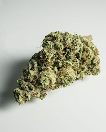 Jack Frost - Image 5