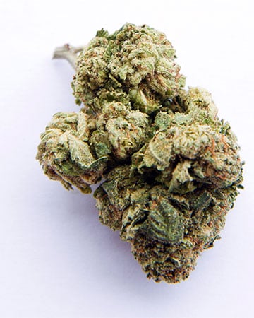 Jokerz - Image 5