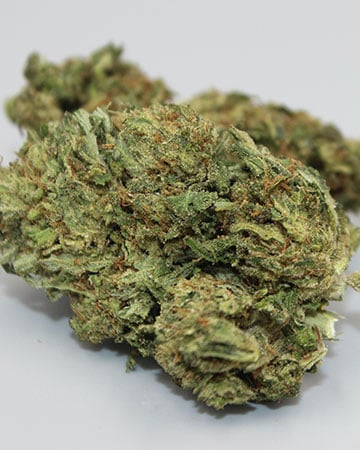 Kush Mints - Image 5